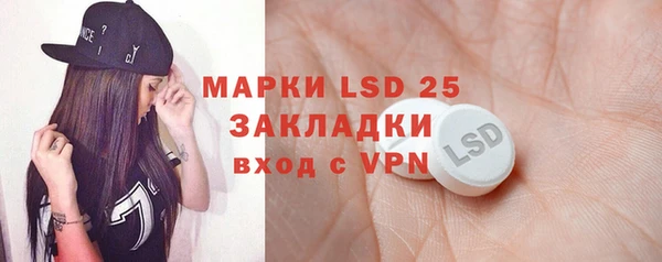 гашик Вязьма