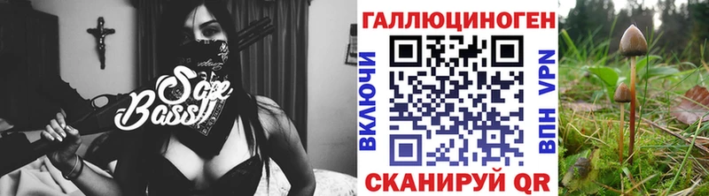 Псилоцибиновые грибы прущие грибы  сколько стоит  Дно 