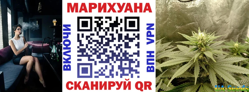 Бошки Шишки SATIVA & INDICA  купить наркотик  Дно 